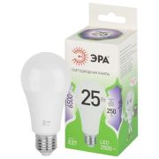 Лампа светодиодная GREEN LINE A60-25W-865-E27 GL 25Вт груша 6500К свет холод. E27 Эра Б0067111